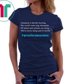 Pray for Amazonia Tee #prayforamazonia Shirt