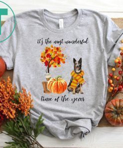 Australian Cattle It’s The Most Wonderful Time Of The Year Fall Autumn Maple Leaf Shirt