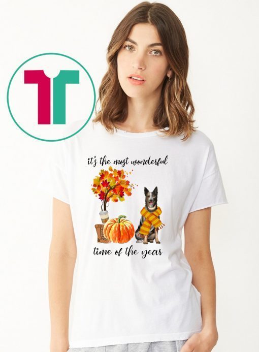 Australian Cattle It’s The Most Wonderful Time Of The Year Fall Autumn Maple Leaf Shirt