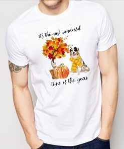 Australian Shepherd It’s The Most Wonderful Time Of The Year Fall Autumn Maple Leaf Shirts