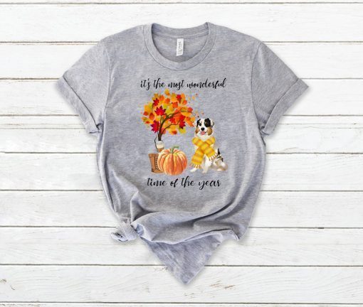 Australian Shepherd It’s The Most Wonderful Time Of The Year Fall Autumn Maple Leaf Shirts