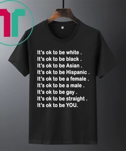 It’s ok to be white, black, Asian, Hispanic, a female, a male, gay, straight, YOU Shirt