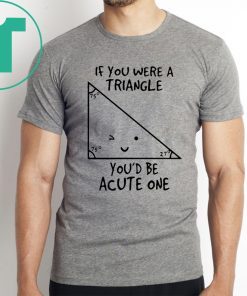 If You Were Triangle Youd Be Acute One Math Gift T-Shirt