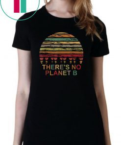 Vintage Earth Day - There is no Planet B Lover Gift T-Shirt