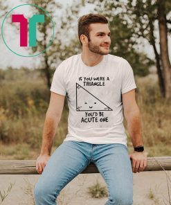 If You Were Triangle Youd Be Acute One Math Gift T-Shirt