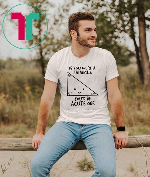 If You Were Triangle Youd Be Acute One Math Gift T-Shirt