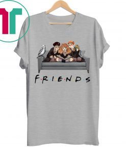 Friends Harry Potter Shirt