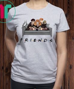 Friends Harry Potter Shirt