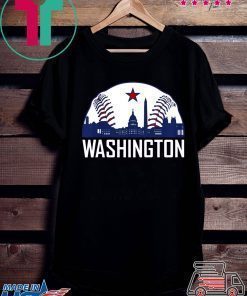 Washington DC Baseball Hometown Skyline National Vintage Shirt