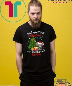 All I want for Christmas is you Just kidding I want Elephants T-Shirt