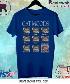 Cat moods Feelings face funny shirt
