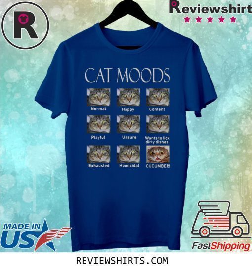 Cat moods Feelings face funny shirt
