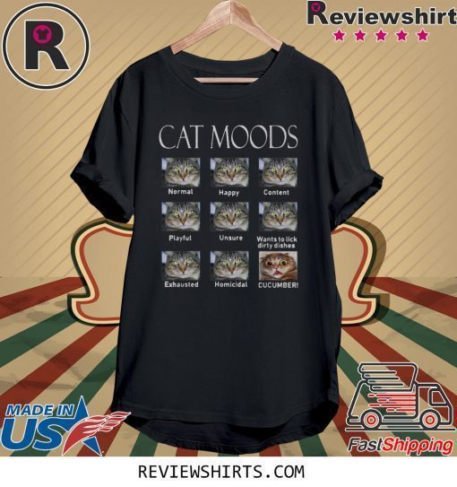 Cat moods Feelings face funny shirt