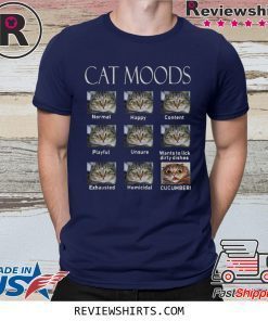 Cat moods Feelings face funny shirt