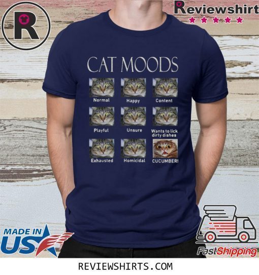 Cat moods Feelings face funny shirt