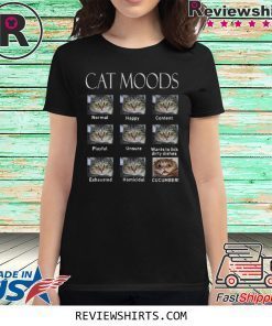 Cat moods Feelings face funny shirt