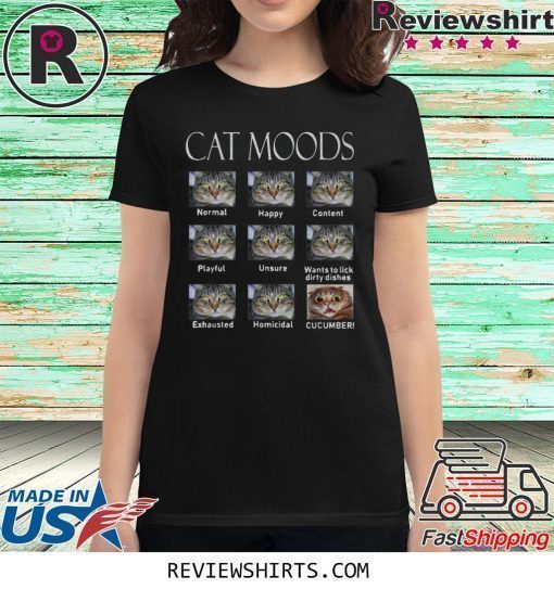 Cat moods Feelings face funny shirt