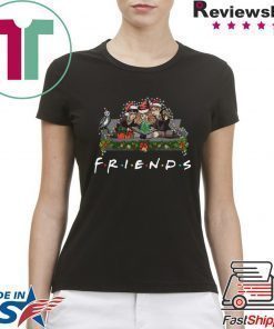 Harry Potter Hermione And Ron Weasley Christmas Friends T-Shirt