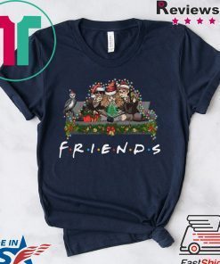 Harry Potter Hermione And Ron Weasley Christmas Friends T-Shirt