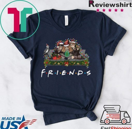 Harry Potter Hermione And Ron Weasley Christmas Friends T-Shirt