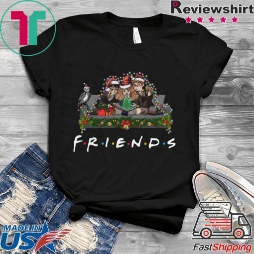 Harry Potter Hermione And Ron Weasley Christmas Friends T-Shirt