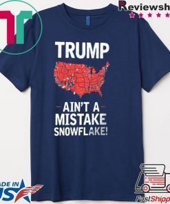 It Ain't A Mistake Voting Demographic Tee Shirt