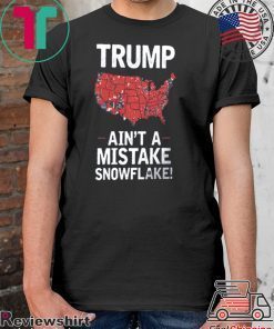 It Ain't A Mistake Voting Demographic Tee Shirt