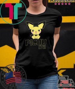 Pokemon Pichu 172 Unisex adult T shirt