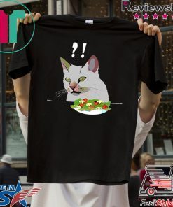 Yelling At Confused Cat At Dinner Table meme T-Shirt