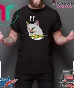 Yelling At Confused Cat At Dinner Table meme T-Shirt