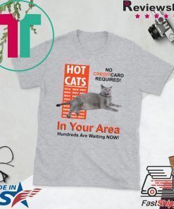 Hot Cats In Your Area Shirt