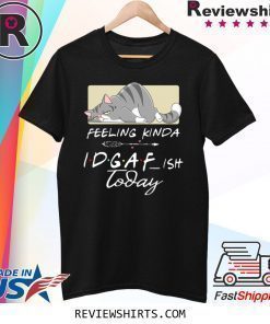 Tired Cat Feeling Kinda IDGAF Ish Today 2020 T-Shirt