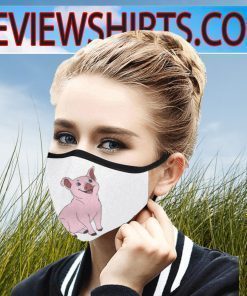 Cute Pig Face Masks
