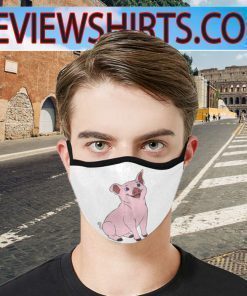 Cute Pig Face Masks