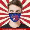Buffalo Bisons Baseball Team Cloth Face Mask US
