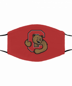 Logo Cornell Big Red Cloth Face Mask