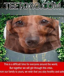 Red short hair Dachshund dog Face Mask
