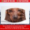 Red short hair Dachshund dog 3D Filter Face Mask