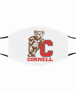 This Is How i Save The World Cornell Big Red Filter Activated Carbon Face Mask