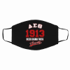 Delta Sigma Theta 1913 Filter Activated Carbon Face Mask