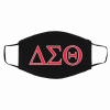 Delta Sigma Theta Filter Activated Carbon Face Mask