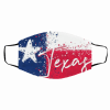 Texas Flag Map Filter Face Mask