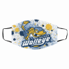 Toledo Walleye Face Mask With Filter