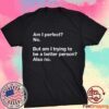 Am I Perfect No Am I Trying To Be A Better Person T-Shirt