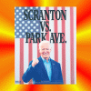 Scranton Vs. Park Ave Flag Poster 2020
