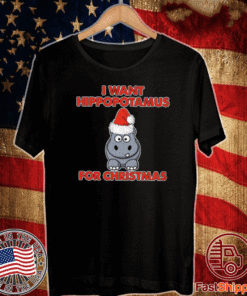 I Want A Hippopotamus For Christmas Xmas Hippo 2021 Shirt