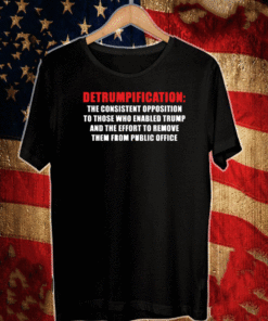Detrumpification The Consistent Opposition To Those Who Enabled Trump And The Eddort To Remove Them From Public Office T-Shirt