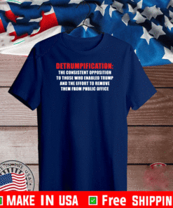 Detrumpification The Consistent Opposition To Those Who Enabled Trump And The Eddort To Remove Them From Public Office T-Shirt
