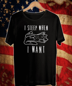 I SLEEP WHEN I WANT PULLOVER SHIRT