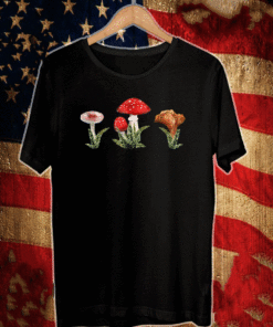 Mushroom Cottagecore Aesthetic Goblincore Mycology Shrooms T-Shirt